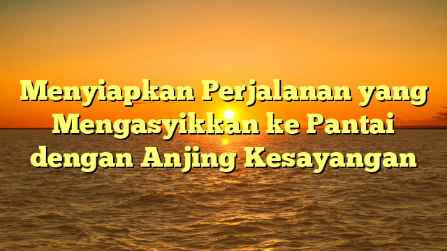 Menyiapkan Perjalanan yang Mengasyikkan ke Pantai dengan Anjing Kesayangan